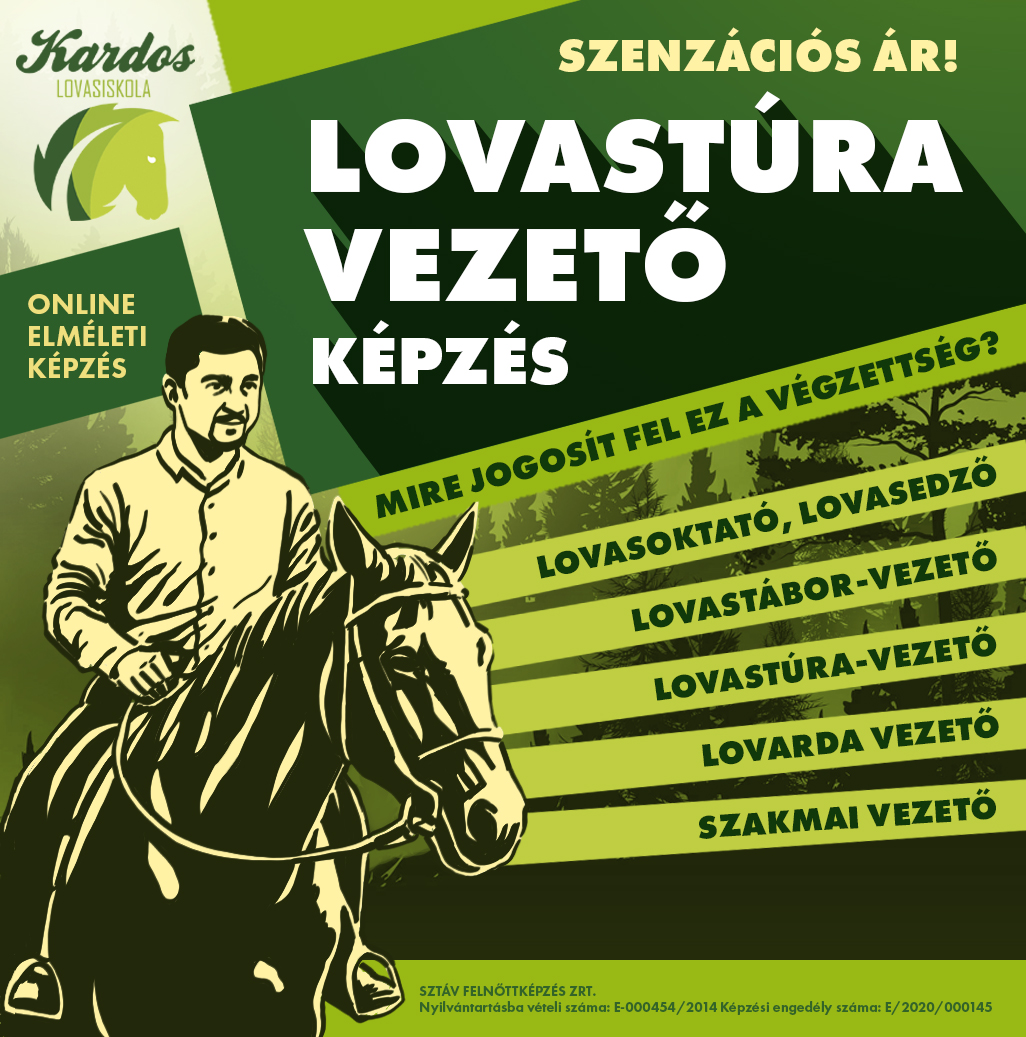 Internetes hírdetés terv 01.