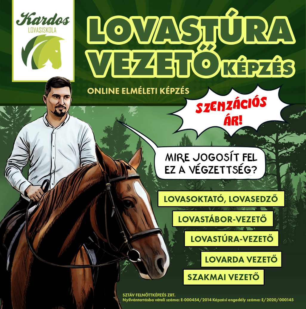 Internetes hírdetés terv 02.